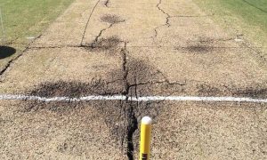 ICC Pitch Rankings