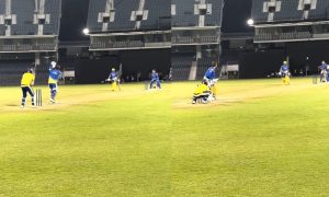 MS Dhoni