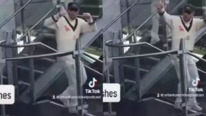 David Warner
