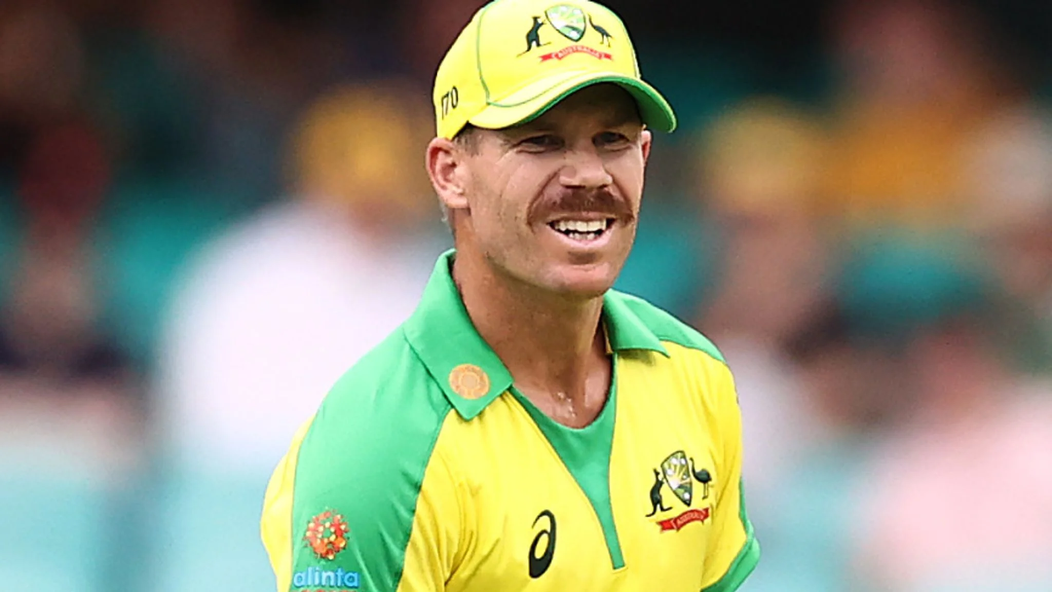 David Warner