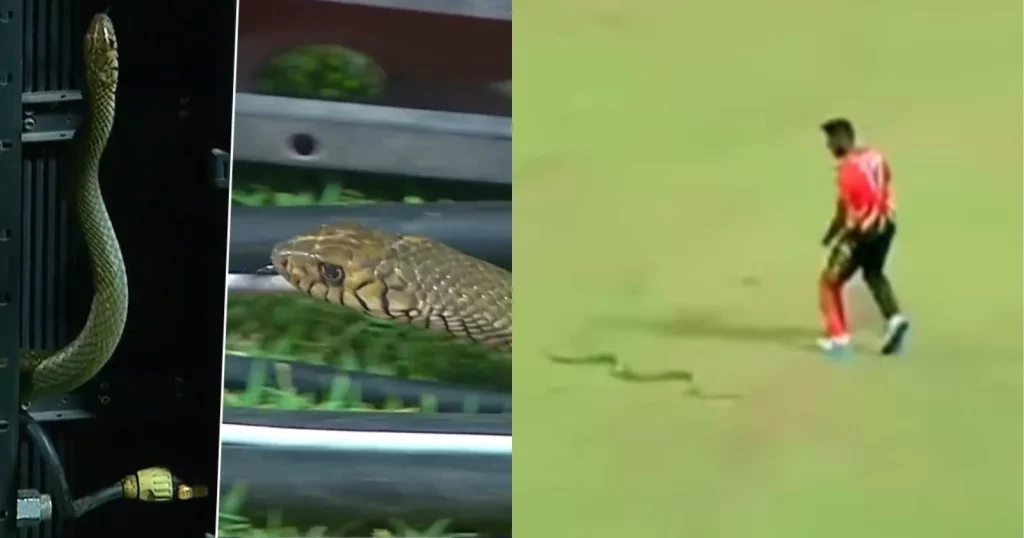 Lucky Escape For Udana As Snake Enters LPL Yet Again