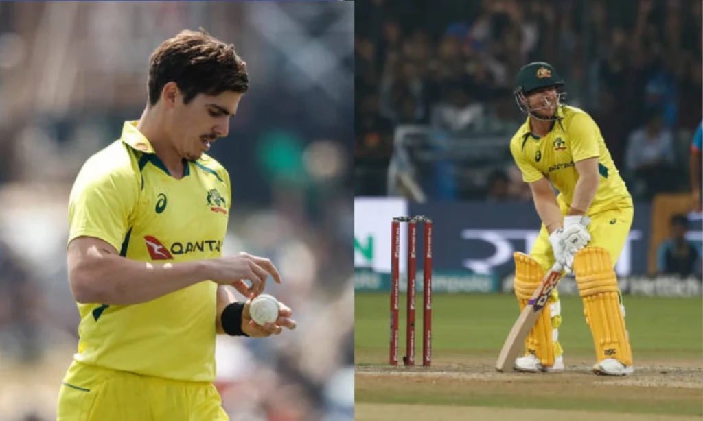 David Warner