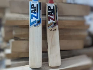 3 Reasons Why Kashmir Willow Bats Outshine English Willow Bats