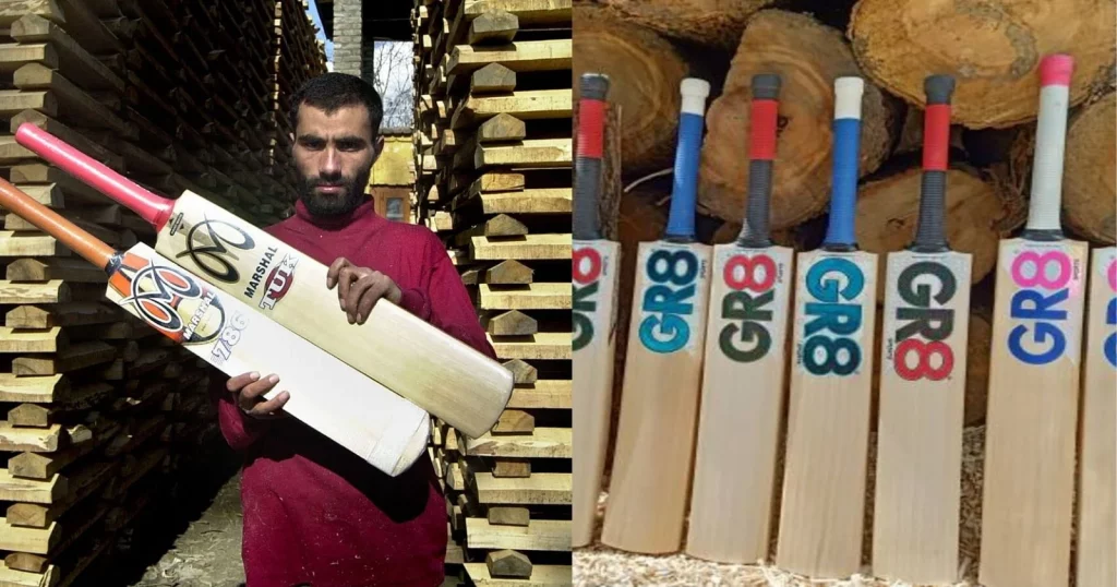 7 Villages Which Produce The Best Kashmir Willow Bats