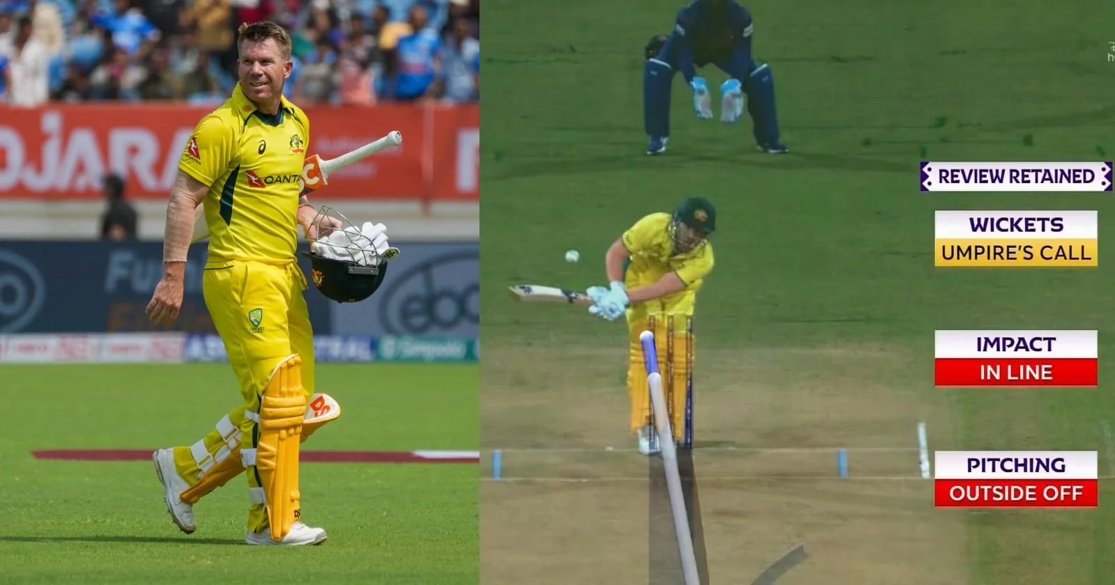 [Cricket World Cup 2023] David Warner Vents His Frustration On Umpires