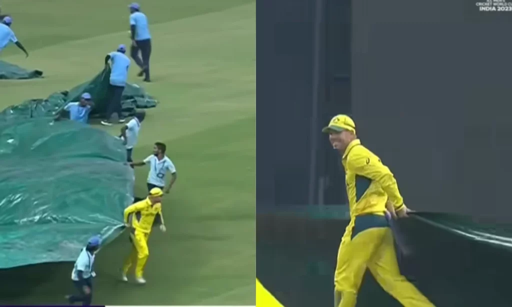 David Warner