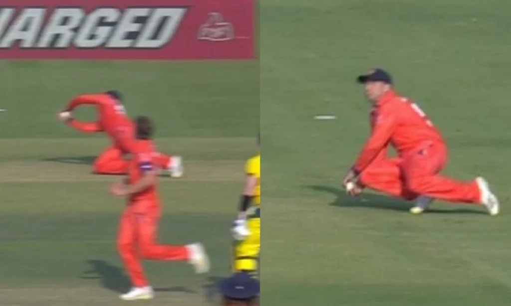 Watch: Aged 38, Roelof van der Merwe Takes A One-Handed Stunner Of Steve Smith