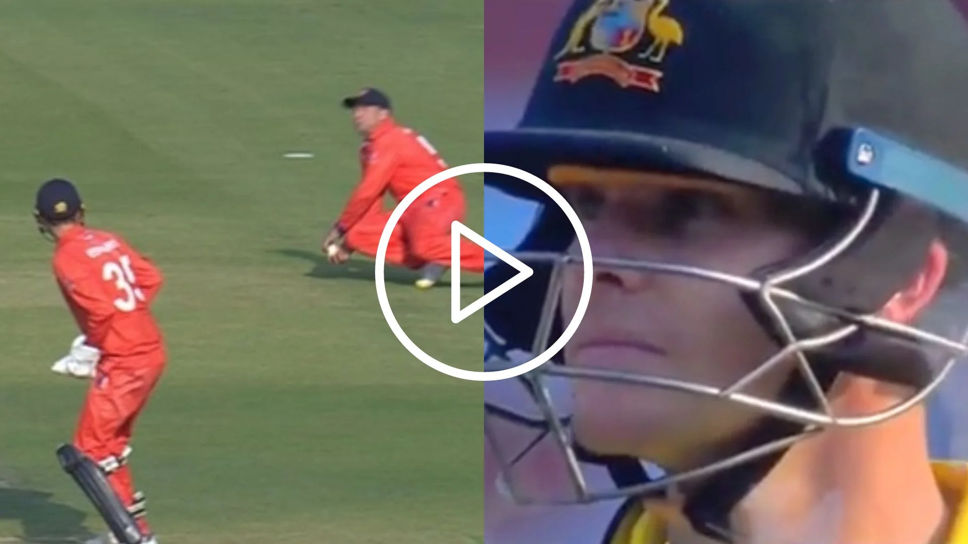 [VIDEO] Brainfade Moment Between David Warner And Steve Smith
