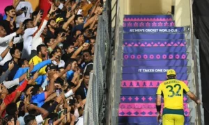 An Open Letter To Glenn Maxwell