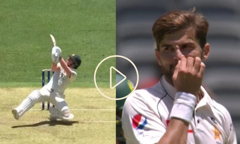 Video: David Warner Treats Shaheen Afridi Like A Schoolboy With Incredible Six