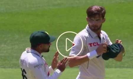 Video: Ex-Captain Babar Azam Tries To Calm Down Shaheen After He Got Smashed By Warner