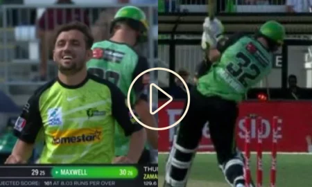 Video: Pakistan's Zaman Khan Yorked Glenn Maxwell; Check Maxwell's Stunned Reaction