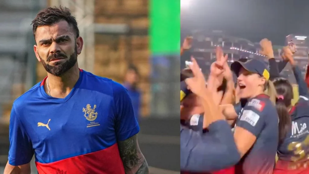 "V For Virat" Watch Ellyse Perry Comes Up With A Charming Reaction For Virat Kohli