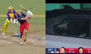 [Watch] Ellyse Perry Smashes A Six And Breaks The Glass Of A Car Inside Chinnaswamy
