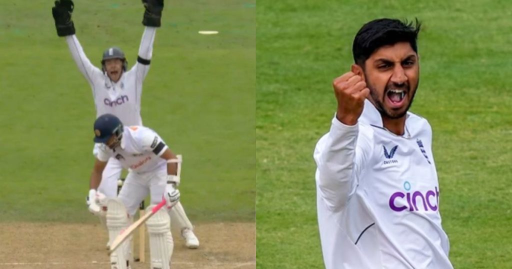 Explained: What Is Daisy Cutter In Cricket?