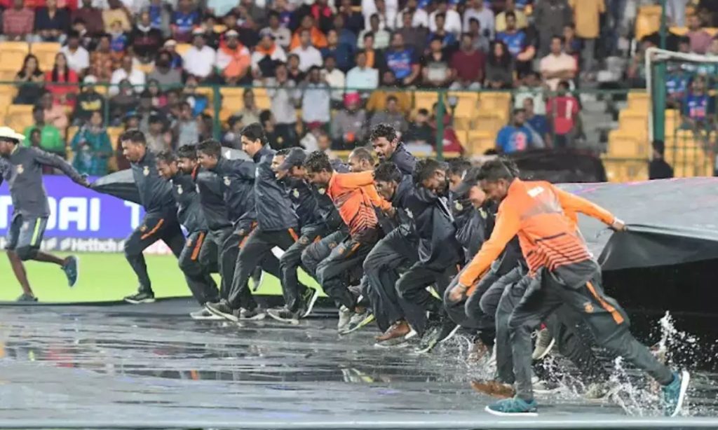 Cricket