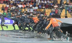 Cricket