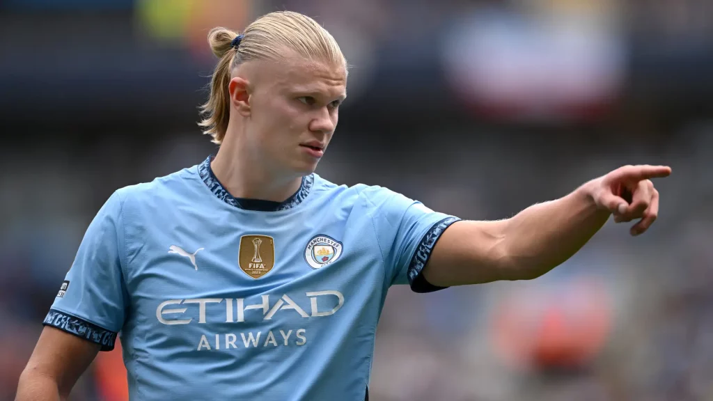 erling haaland premier league team of 2024