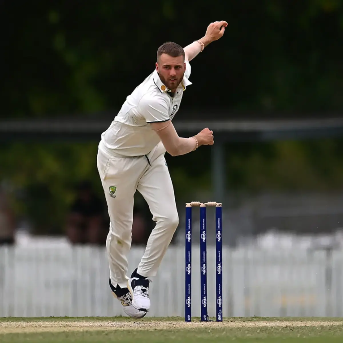 The Future Stars of the Sheffield Shield